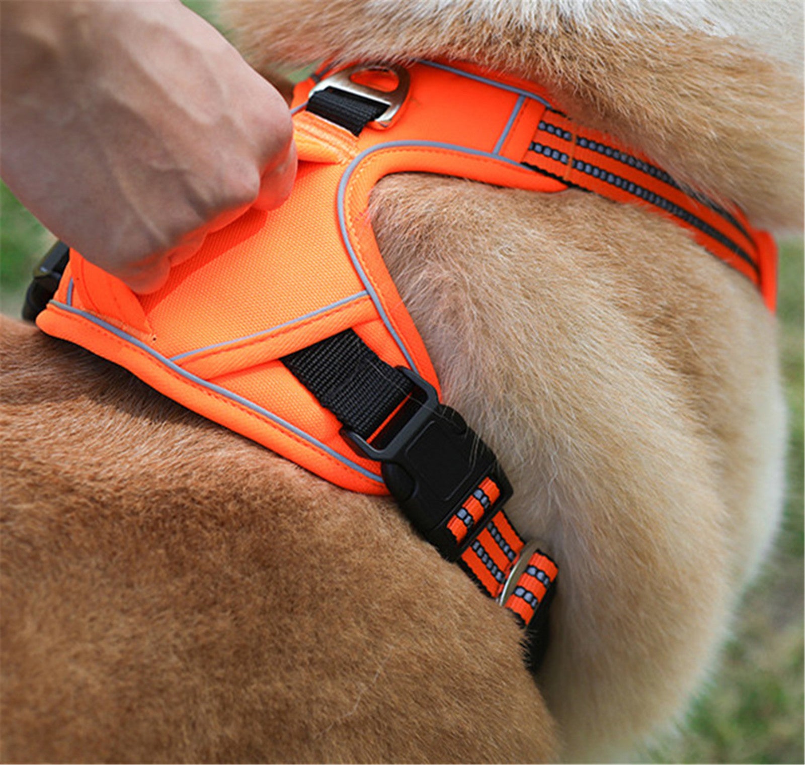 Waterproof Dog Harness with Vertical Handle