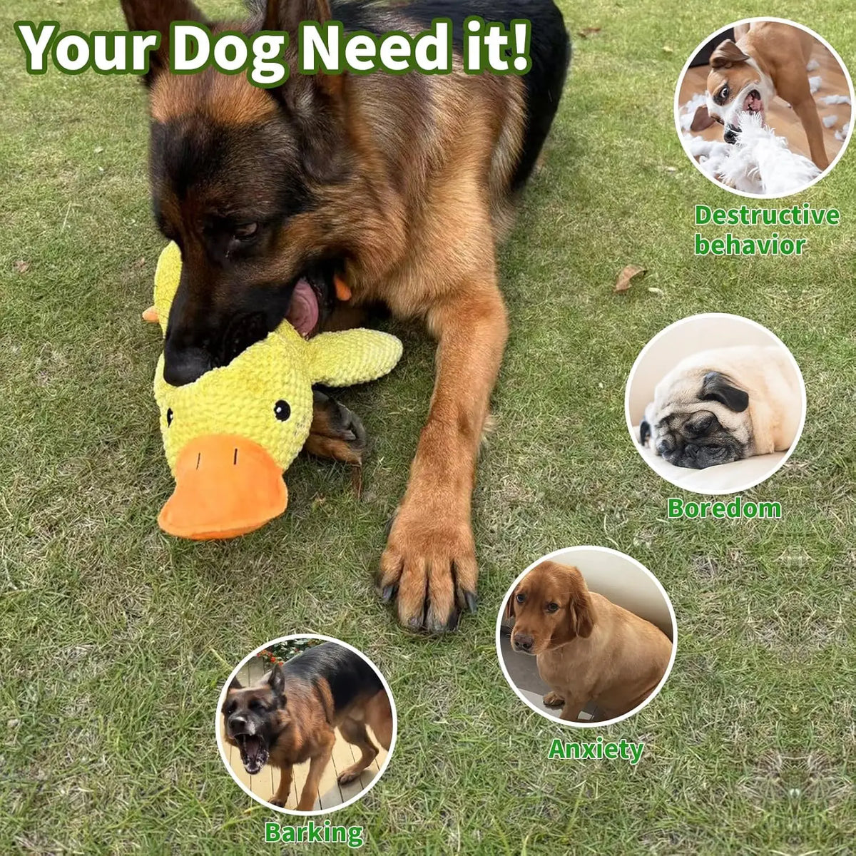 Quacking Plush Duck Dog Toy – Chew-Resistant & Squeaky