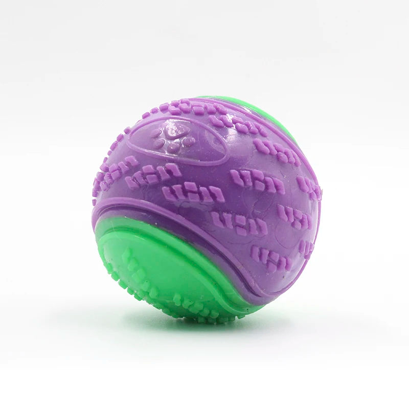 Squeaky Dog Ball Toy – TPR Bite-Resistant Teeth Cleaner
