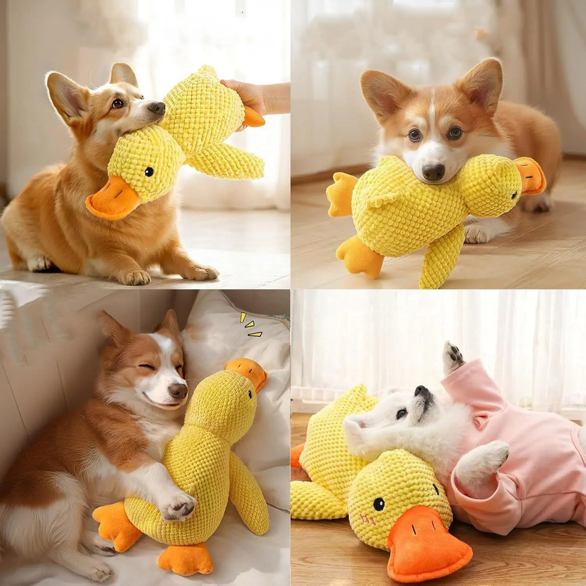 Quacking Plush Duck Dog Toy – Chew-Resistant & Squeaky