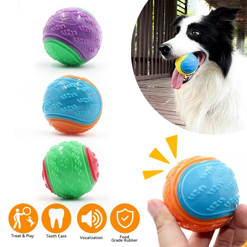 Squeaky Dog Ball Toy – TPR Bite-Resistant Teeth Cleaner