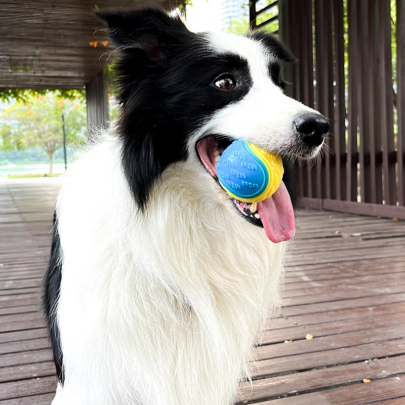 Squeaky Dog Ball Toy – TPR Bite-Resistant Teeth Cleaner