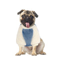 Soft Warm Dog Sweater for Small Dogs – Fluffy Winter Knit
