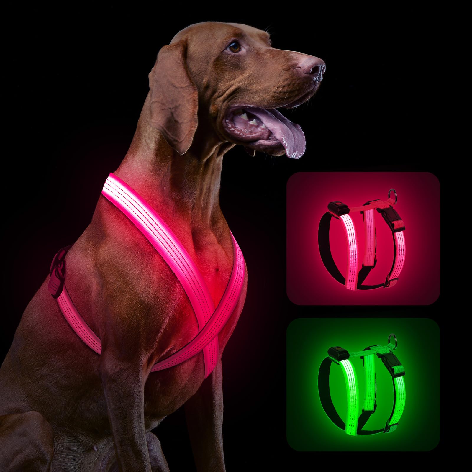 Rechargeable LED Dog Harness – Light-Up Safety Harness